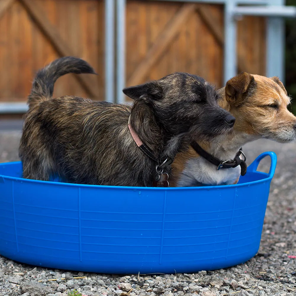 Gorilla Tub Large Shallow Gorilla Tub Large Shallow