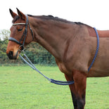 Hy Equestrian Lunging Aid Hy Equestrian Lunging Aid
