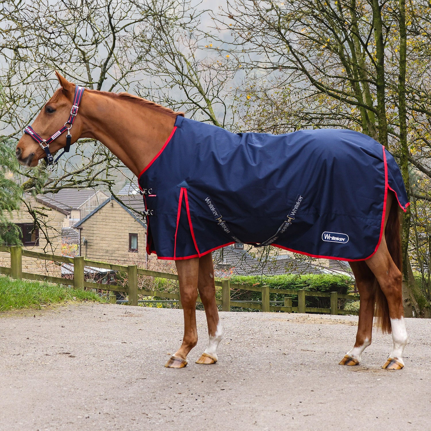 Whitaker R443 Rastrick V2 100g Turnout Rug - Navy Whitaker R443 Rastrick V2 100g Turnout Rug - Navy