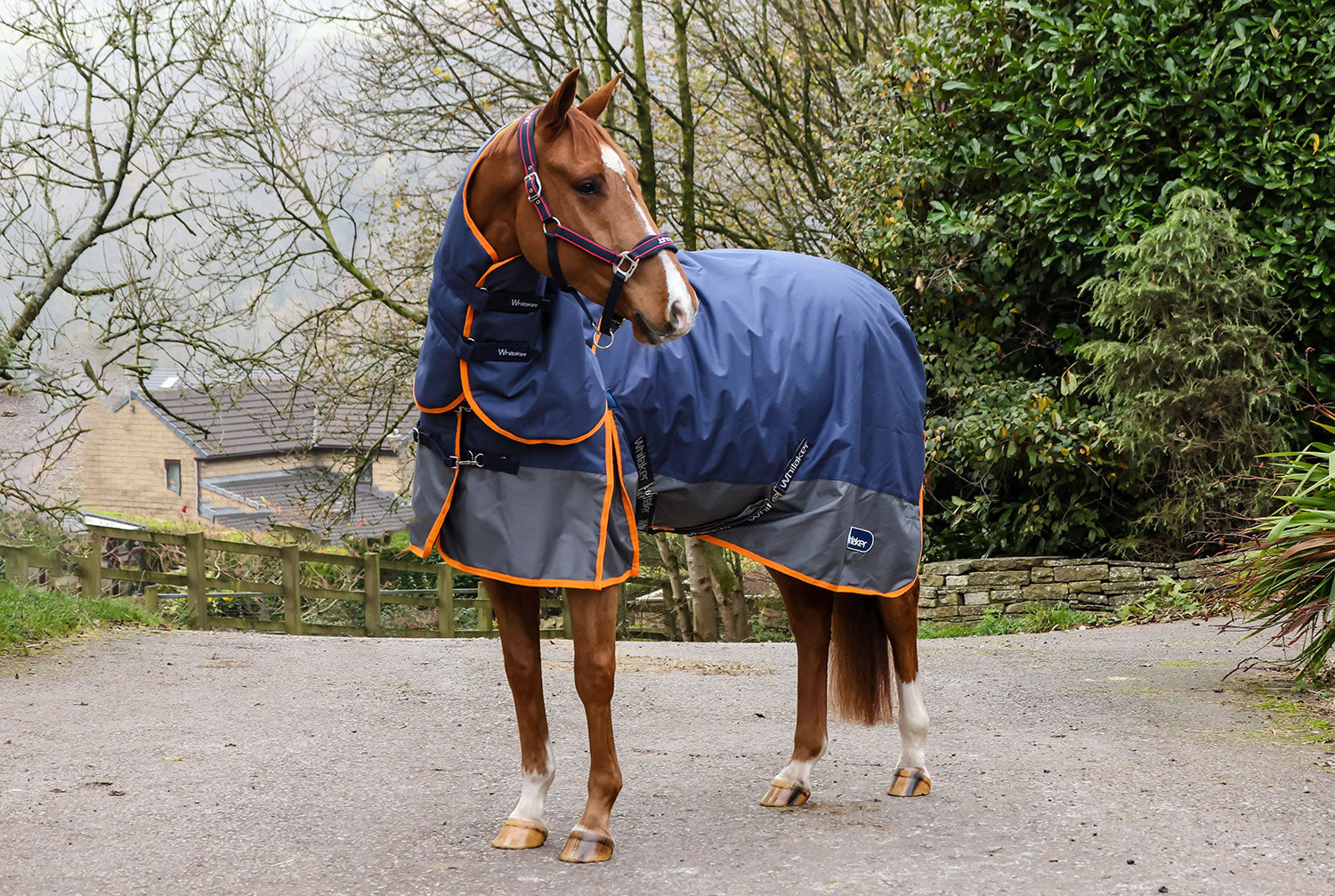 Whitaker R442 Rastrick V2 50g Turnout Rug - Navy Whitaker R442 Rastrick V2 50g Turnout Rug - Navy