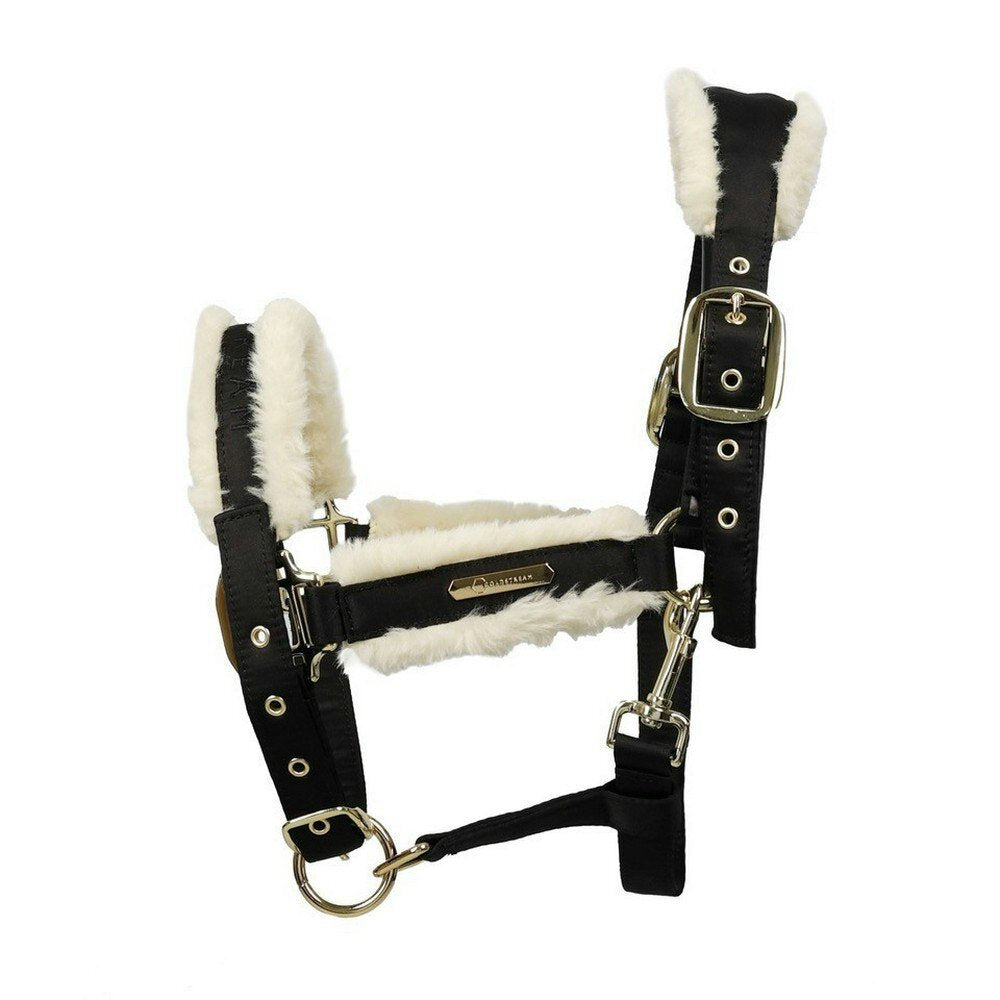 Coldstream Langlee Luxury Head Collar & Lead Rope Coldstream Langlee Luxury Head Collar & Lead Rope