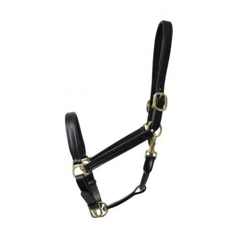 Coldstream Leather Padded Head Collar Coldstream Leather Padded Head Collar