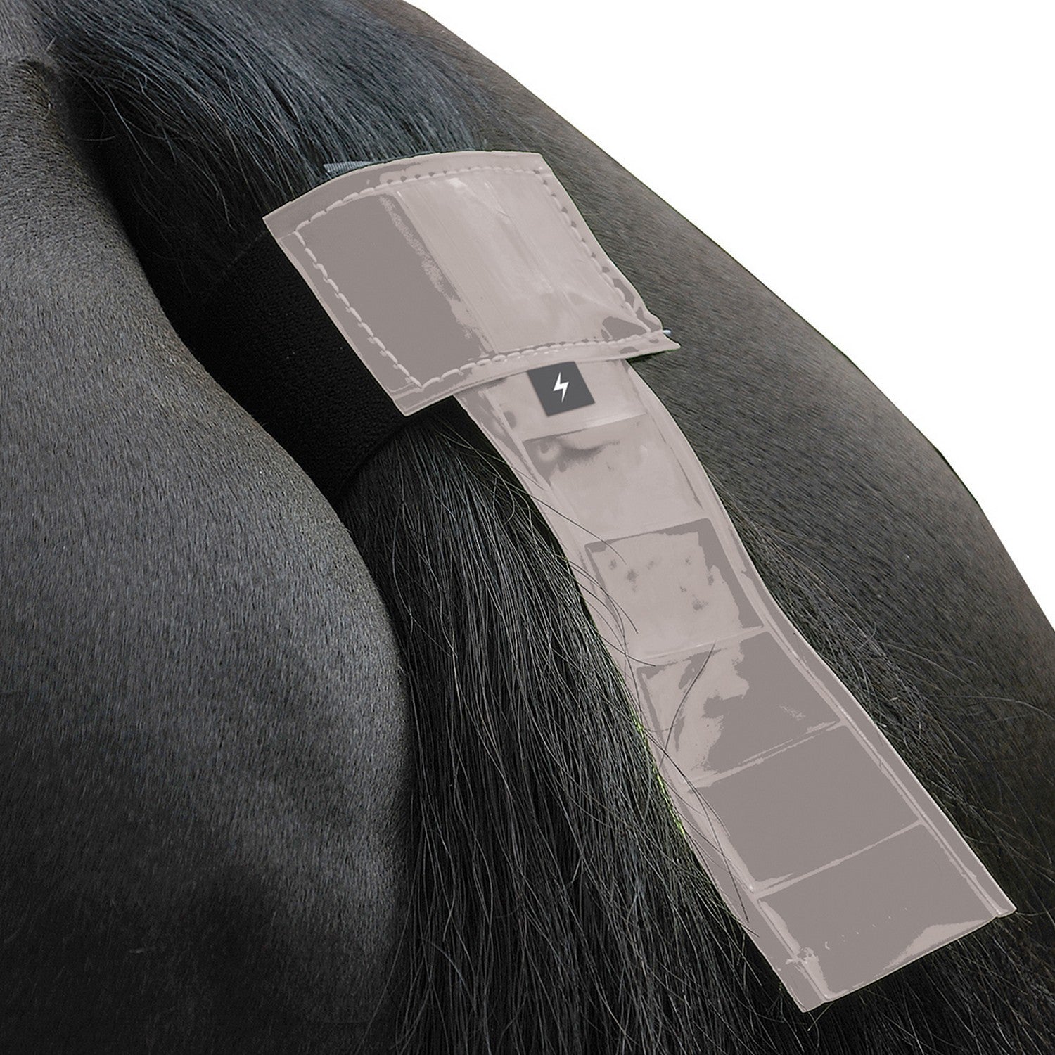 Silva Flash Reflective Tail Band by Hy Equestrian Silva Flash Reflective Tail Band by Hy Equestrian