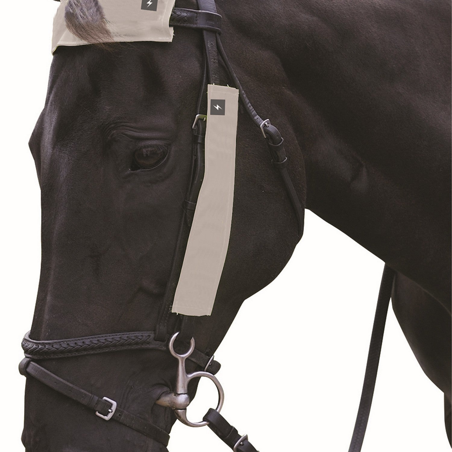 Silva Flash Reflective Bridle Set by Hy Equestrian Silva Flash Reflective Bridle Set by Hy Equestrian