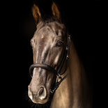 ProPresicce Softy Leather Head Collar by Hy Equestrian ProPresicce Softy Leather Head Collar by Hy Equestrian