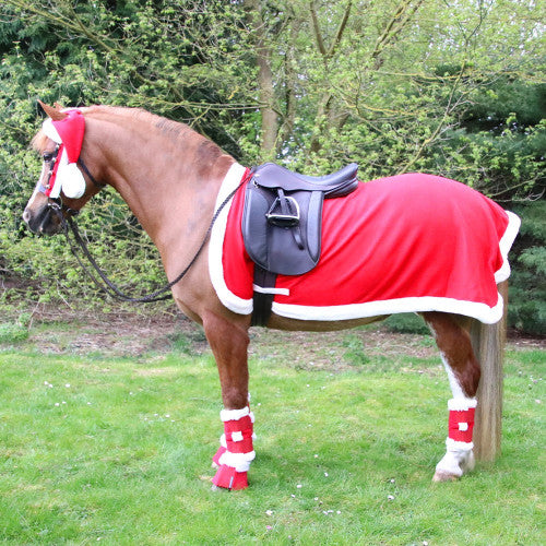 Hy Equestrian Christmas Santa Exercise Sheet Hy Equestrian Christmas Santa Exercise Sheet