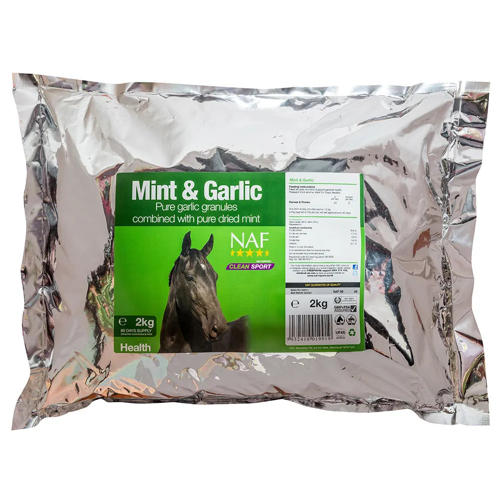 Why We Like Mint & Garlic for Horses – Rather Than Garlic Alone