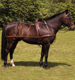 Windsor Oily Leather Driving Harness