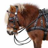 Windsor Miniature Leather Driving Harness – Patent Trim with Red Detailing