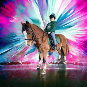 Colour Splash Horse Portrait – Bold Custom Canvas Art