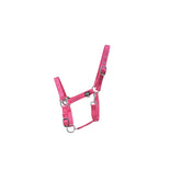 Hy Equestrian Economy Plus Head Collar