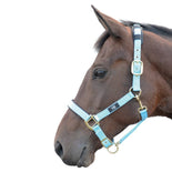 Hy Equestrian Deluxe Padded Head Collar