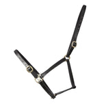 Hy Equestrian Leather Foal Head Collar