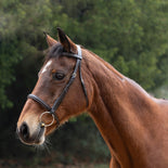 Hy Equestrian Padded Cavesson Bridle with Rubber Grip Reins - Full 5/8''