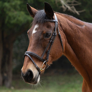 Hy Equestrian Padded Flash Bridle with Rubber Grip Reins - X Small 1/2''