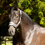 ProReaction Dura Fleece Head Collar by Hy Equestrian