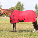 HyCONIC 50g Turnout Rug
