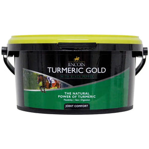 Lincoln Turmeric Gold
