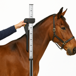 Horse Measuring Stick