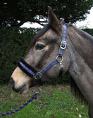 Rhinegold Love My Pony Headcollar & Lead Rope Set