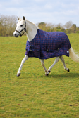 Rhinegold Zeus Outdoor Rug