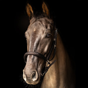 ProPresicce Softy Leather Head Collar by Hy Equestrian